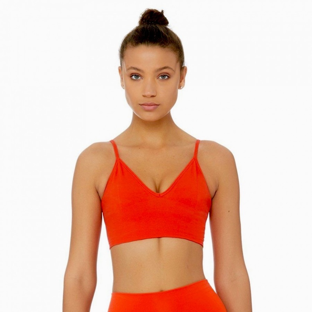 ⭐️NWT⭐️ Alo Delight Bralette in Cherry Pop